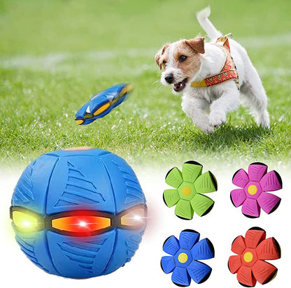 2-in-1 Dog Frisbee & Ball Toy – Durable Fetch Toy, 4 Colours