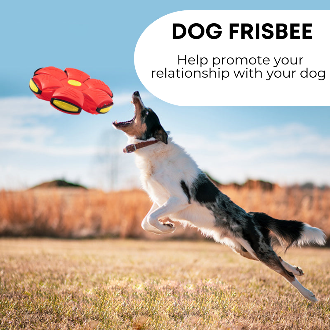 2-in-1 Dog Frisbee & Ball Toy – Durable Fetch Toy, 4 Colours