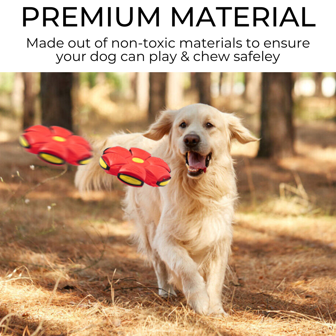 2-in-1 Dog Frisbee & Ball Toy – Durable Fetch Toy, 4 Colours